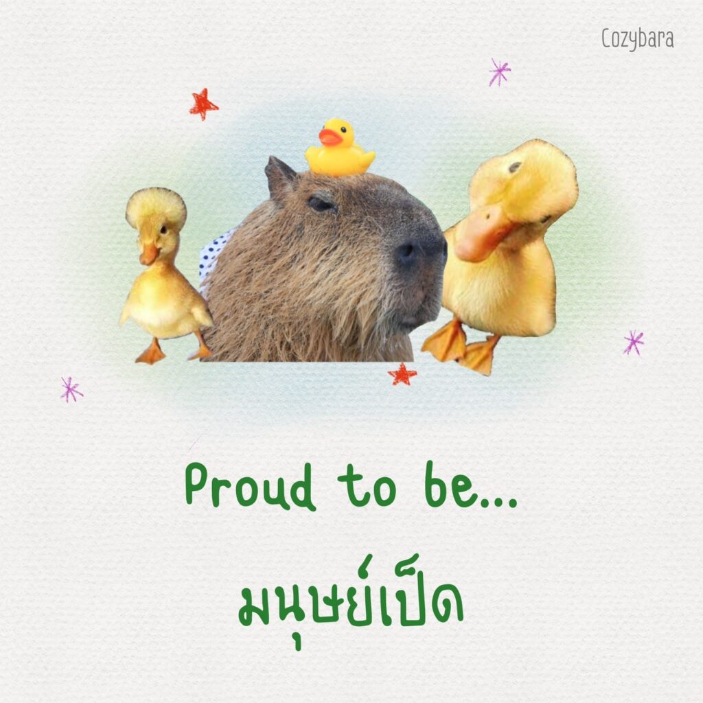 Proud to be มนุษย์เป็ด