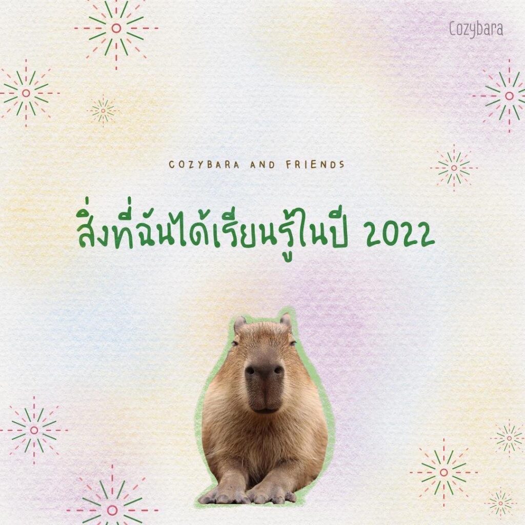 สิ่งที่ฉันได้เรียนรู้ในปี 2022